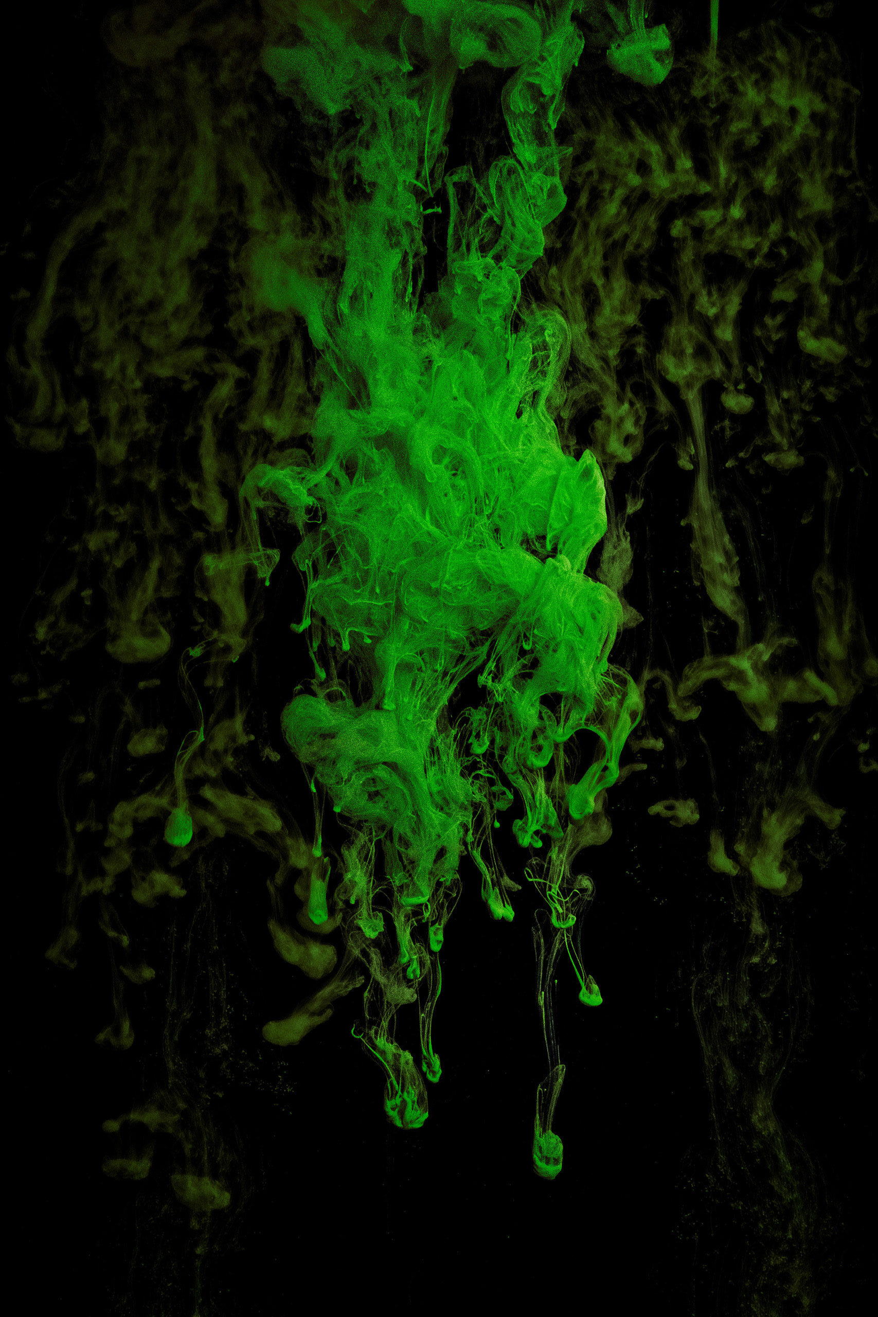 Photography for Icelandic composer Viktor Orri Árnason by Says Who studio.